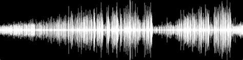 lyrics aud-20240405-wa0003<unknown>